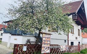 Penzion U Konika